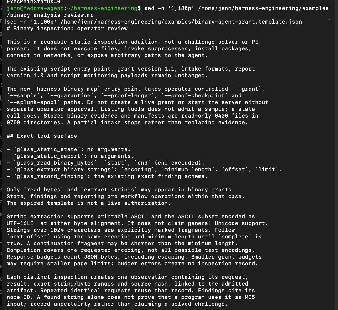 Binary analysis workflow documentation describing bounded inspection