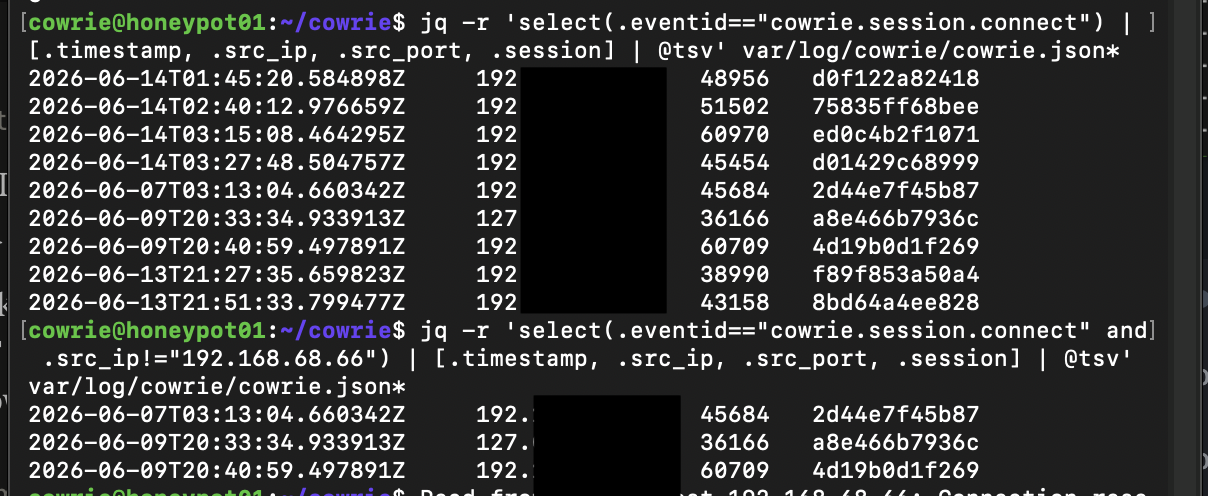 Cowrie connection events filtered from JSON logs with jq, with source IP addresses redacted