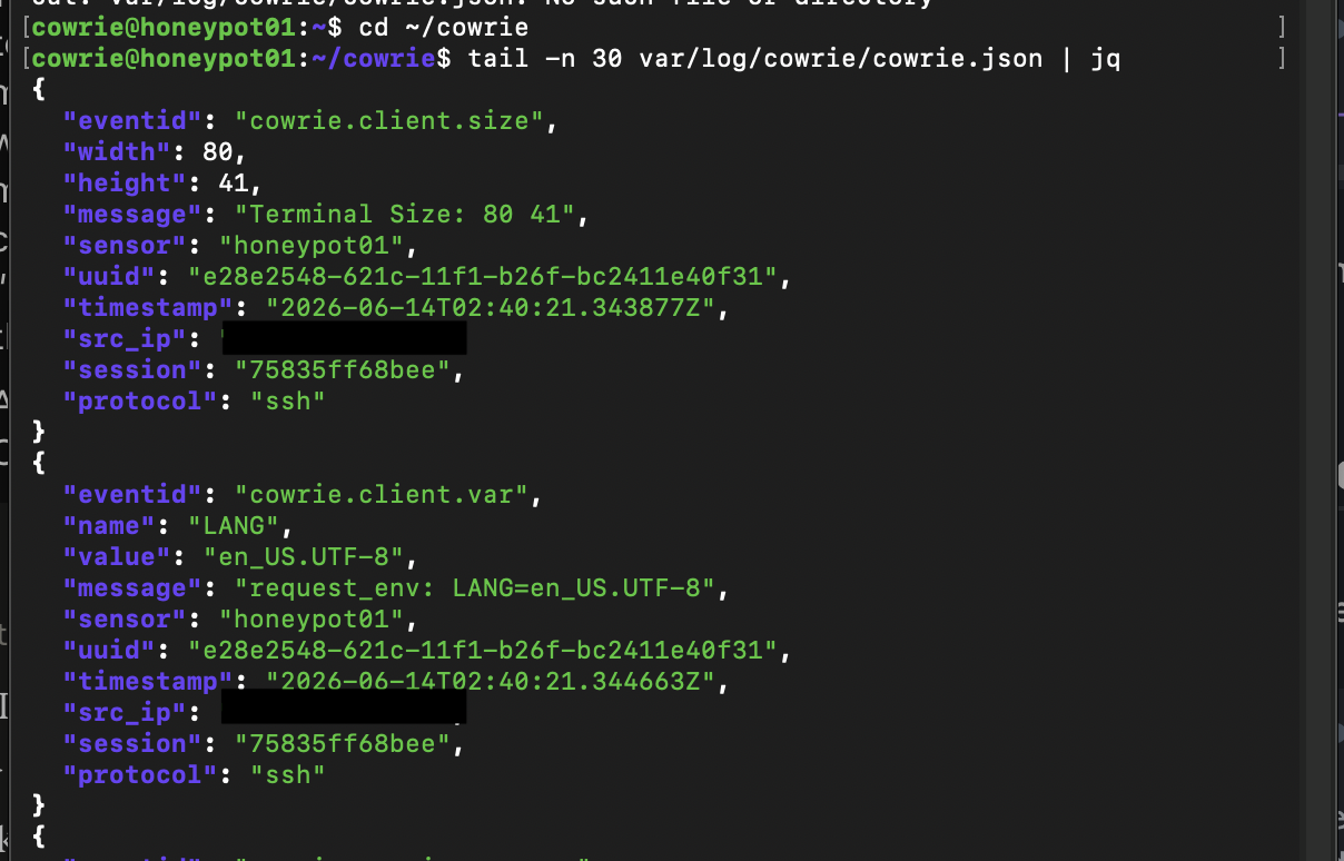 Cowrie JSON session events displayed through jq with the source address redacted